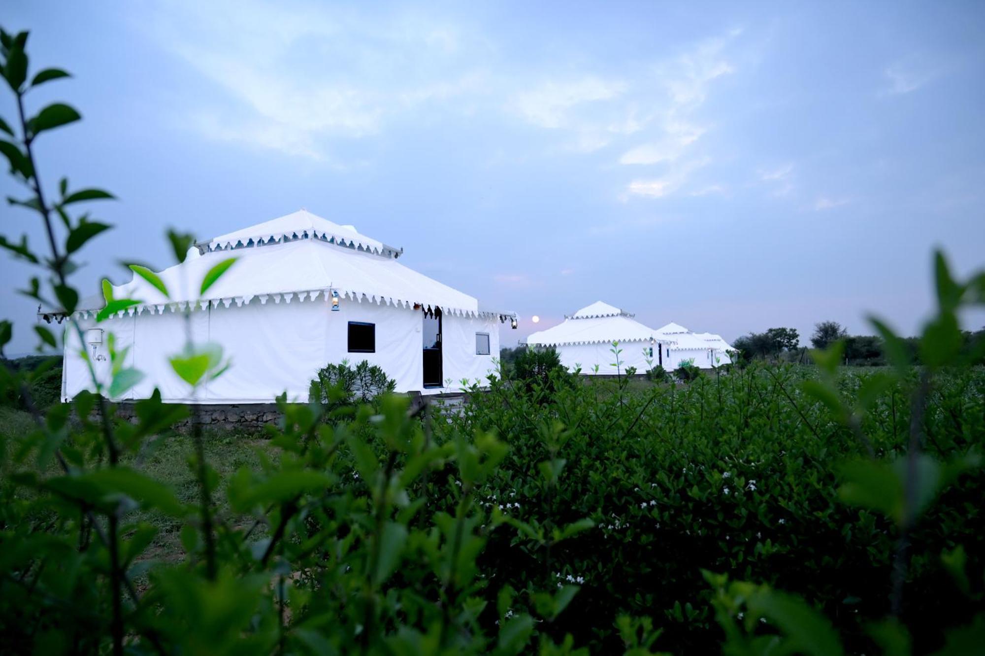 The Bagheera Bagh Jawai Bera Exterior foto